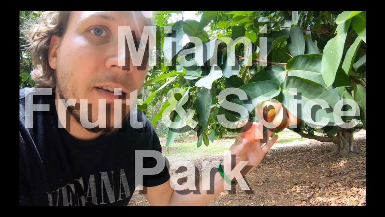 Private Driver from Miami Shores to Redland Fruit & Spice Park