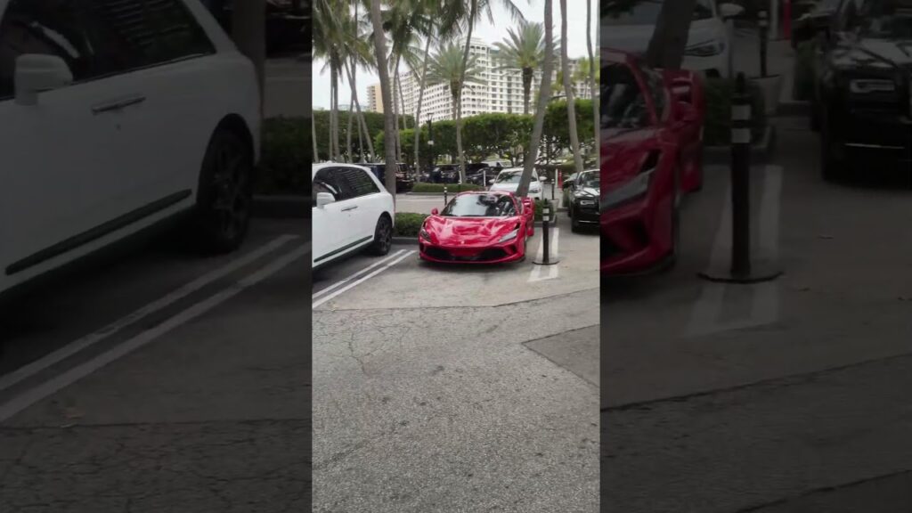 Luxury Transportation from Bal Harbour to Jungle Island