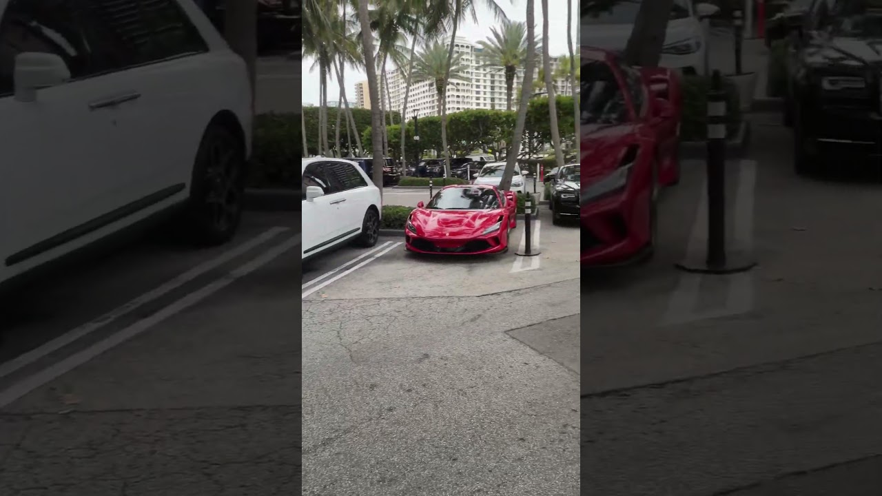 Luxury Transportation from Bal Harbour to Jungle Island