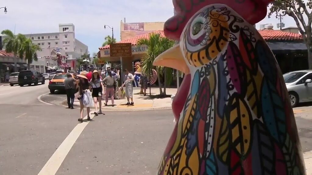 Private Chauffeur from Little Havana to Miami Seaquarium