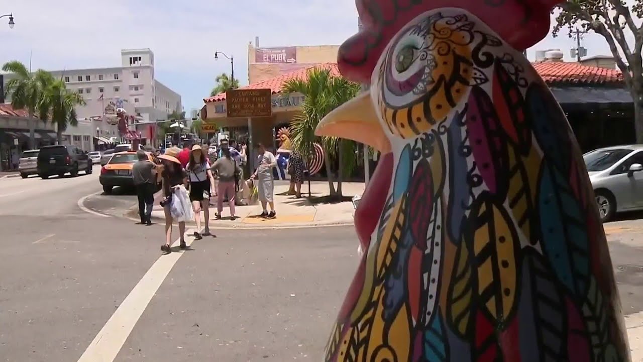 Private Chauffeur from Little Havana to Miami Seaquarium