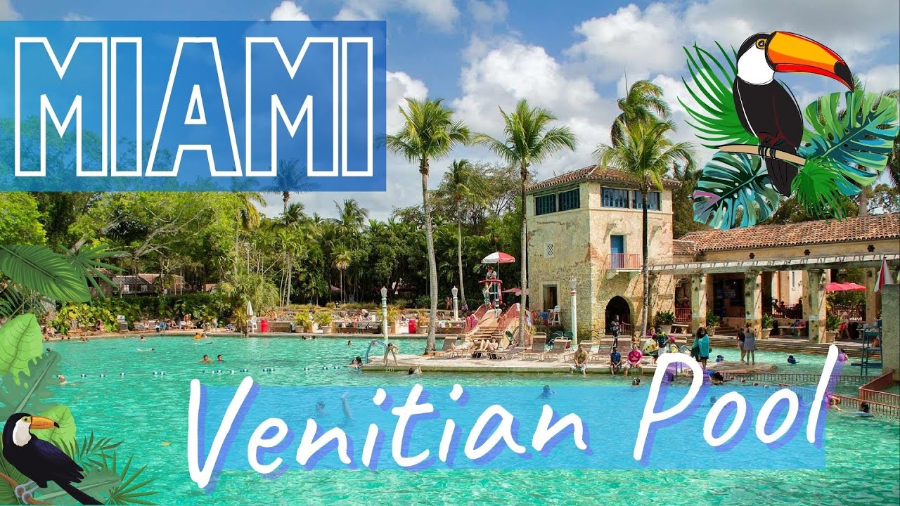 Private Chauffeur from Wynwood to Venetian Pool