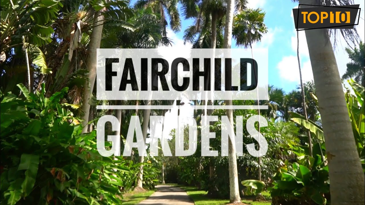 Black Car Transfer from Aventura to Fairchild Tropical Botanic Garden