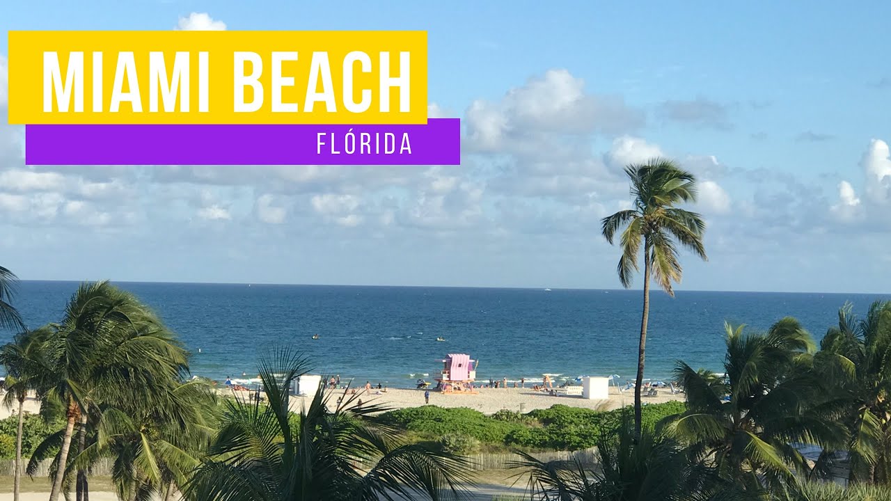 Black Car Transfer from Miami Beach Marina Area to Sawgrass Mills